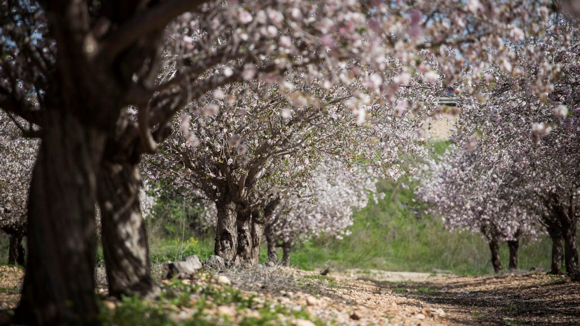 March & April Bulletin